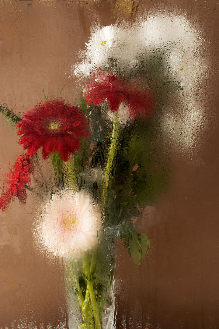 Wadi Home floral still life wall art with red and white flowers on a brown background, featuring a rain-kissed effect.