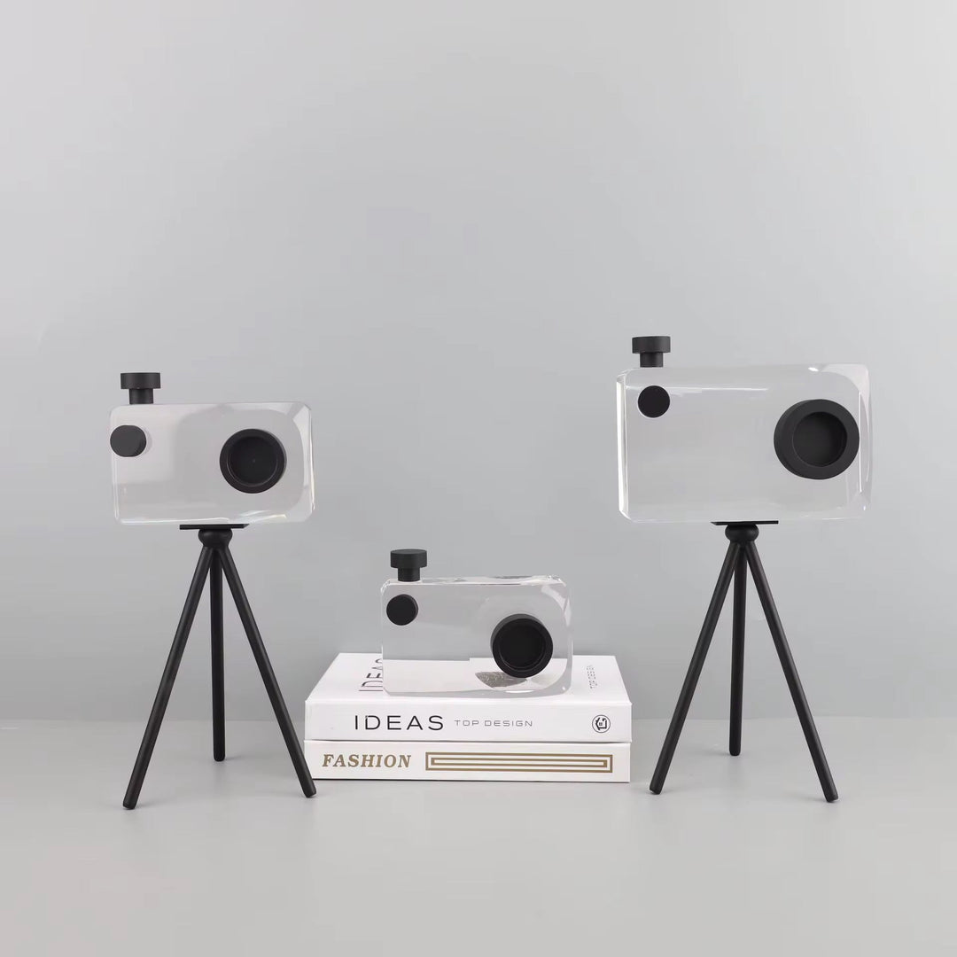 Crystal Camera Sculpture Set of 2