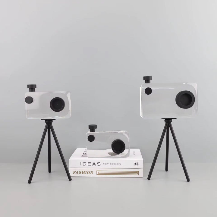 Crystal Camera Sculpture Set of 2