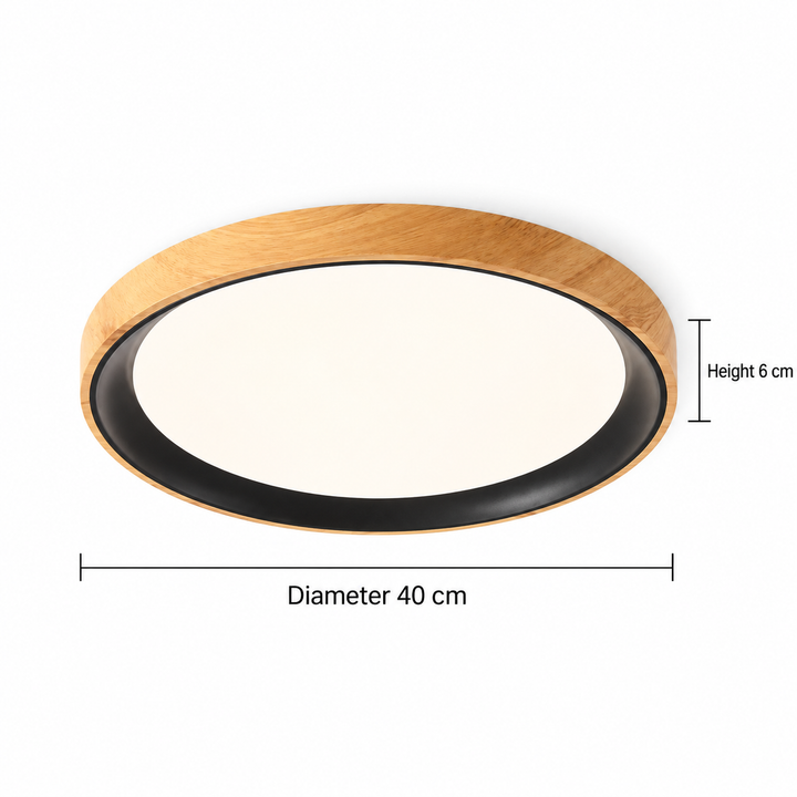Modern Two-Tone Circular Ceiling Light