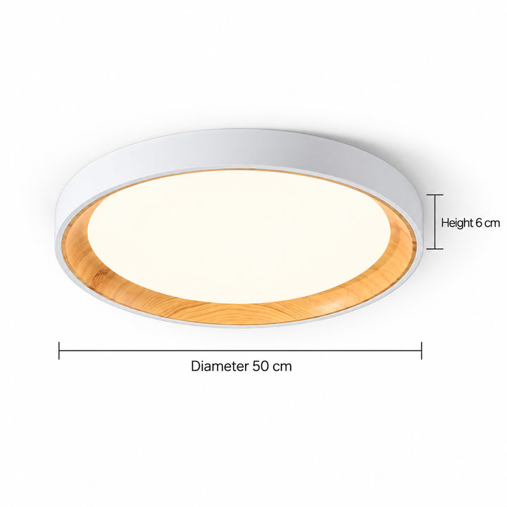 Modern Two-Tone Circular Ceiling Light