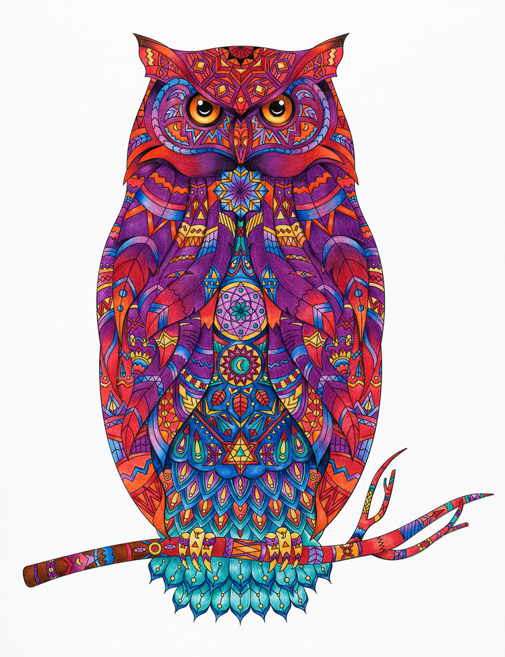 Wadi Home decorative owl wall art print with intricate mandala patterns in vibrant warm and cool colors on a wall.
