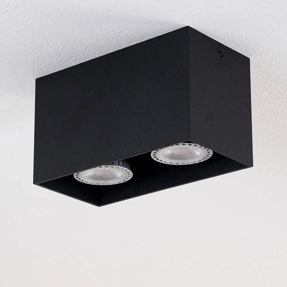 Modern Dual Black Rectangular Ceiling Spotlight