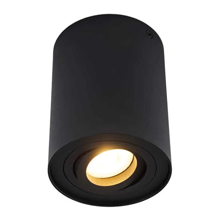 Modern Adjustable Black Cylinder Ceiling Spotlight