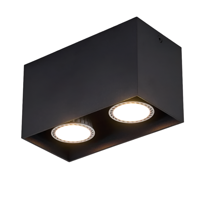 Modern Dual Black Rectangular Ceiling Spotlight