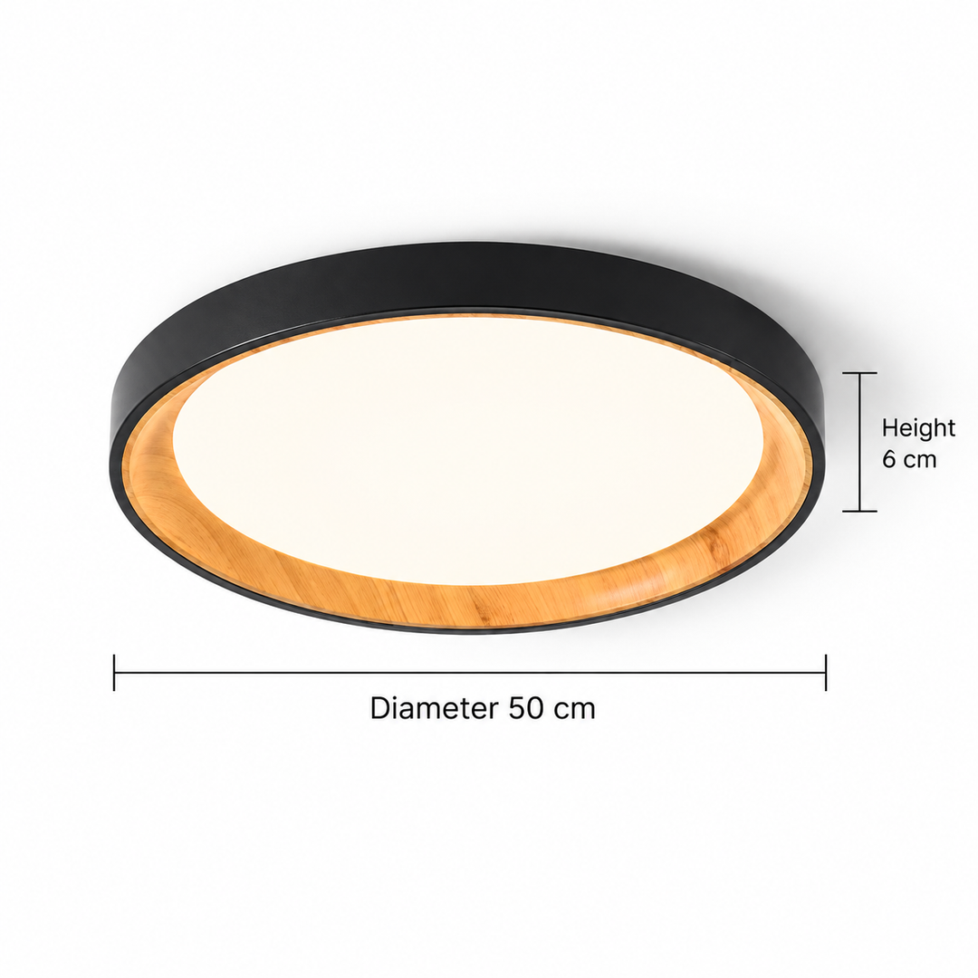 Modern Two-Tone Circular Ceiling Light