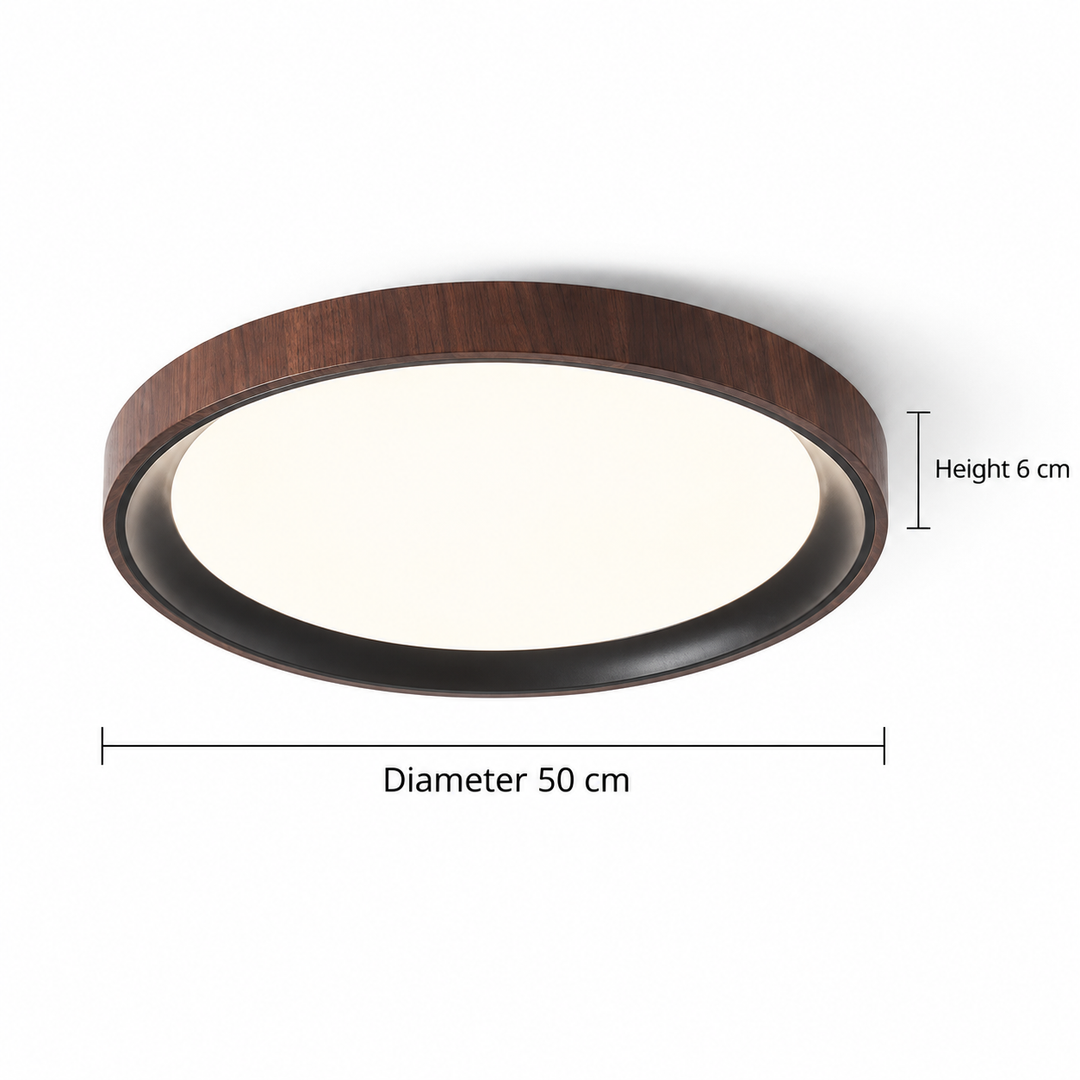 Modern Two-Tone Circular Ceiling Light