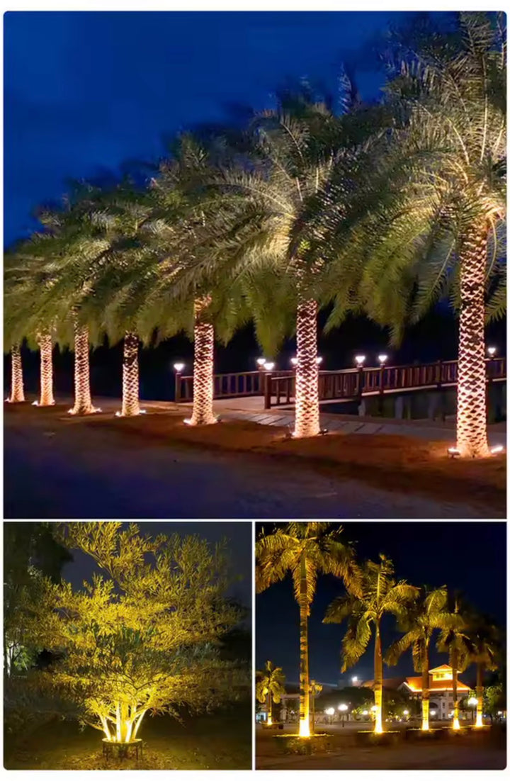 Outdoor Tree Ring Light