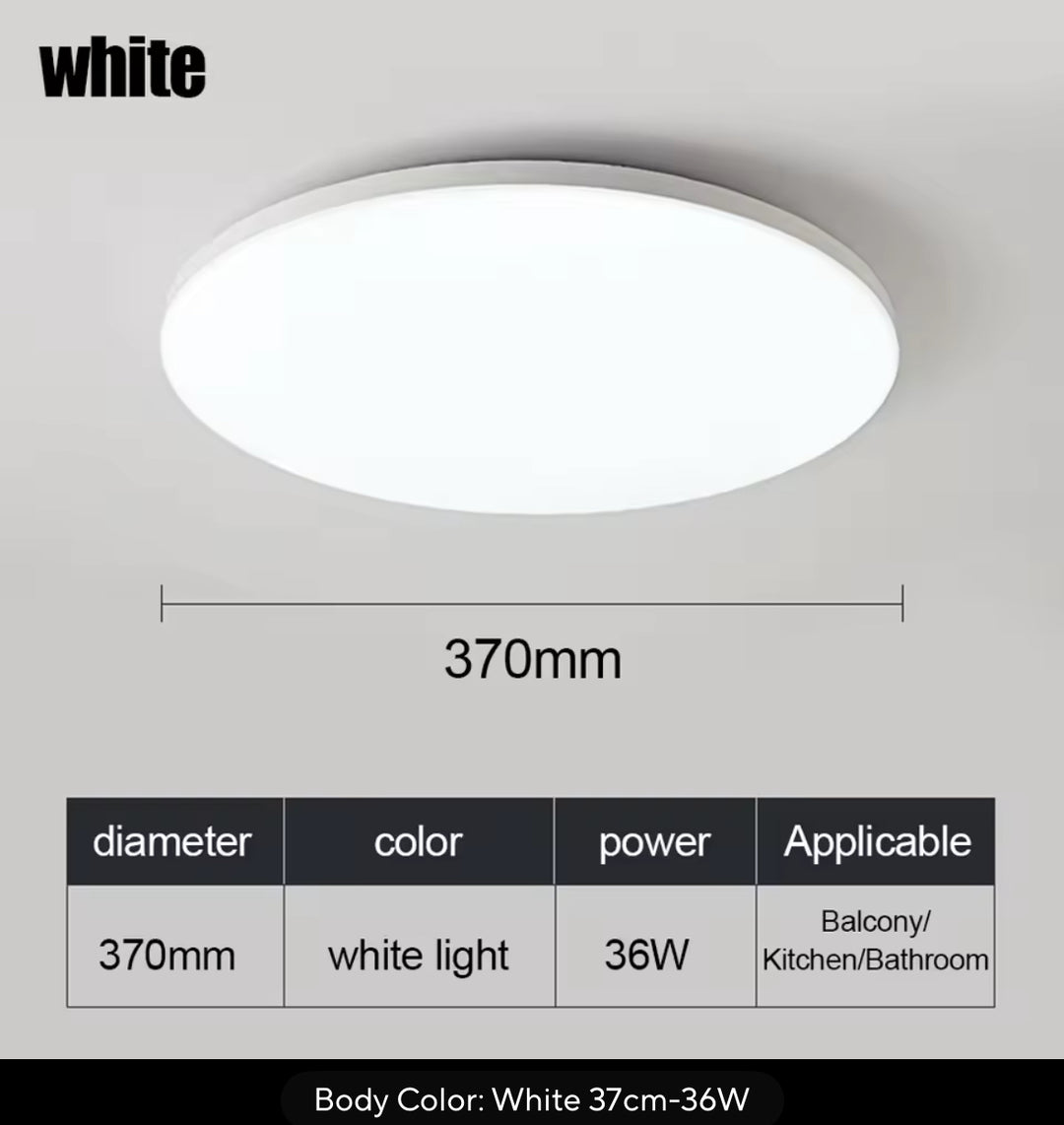 Minimalist Ceiling LED Light - in 4 COLORS