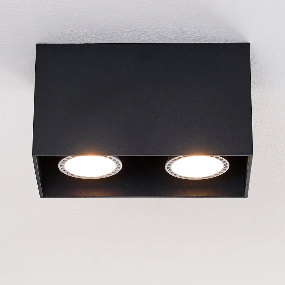 Modern Dual Black Rectangular Ceiling Spotlight