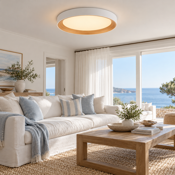 Modern Two-Tone Circular Ceiling Light
