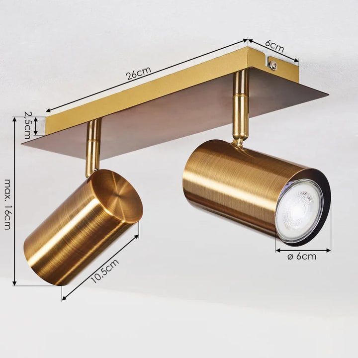 Modern Golden Metallic Ceiling Spotlight