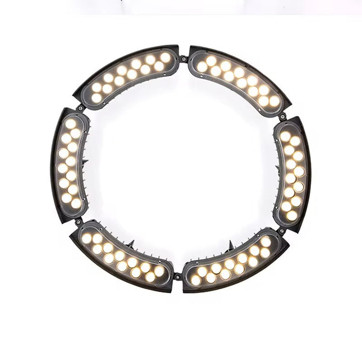 Outdoor Tree Ring Light