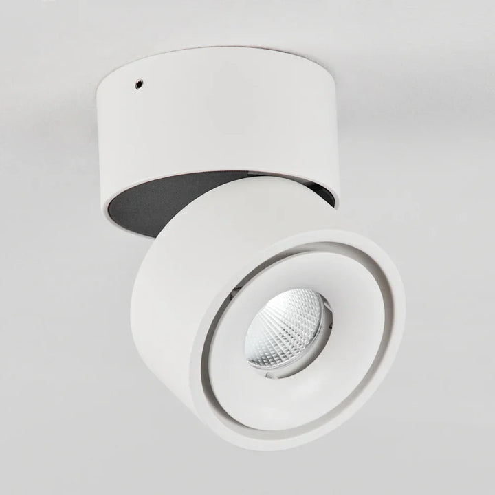 Modern Adjustable LED 20W Ceiling Spotlight