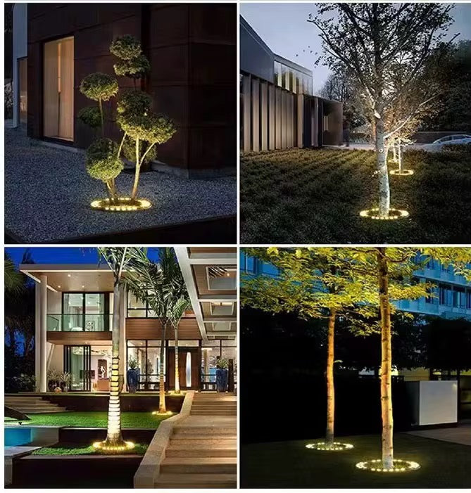 Outdoor Tree Ring Light