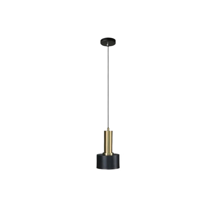 Black and Gold Pendant Light