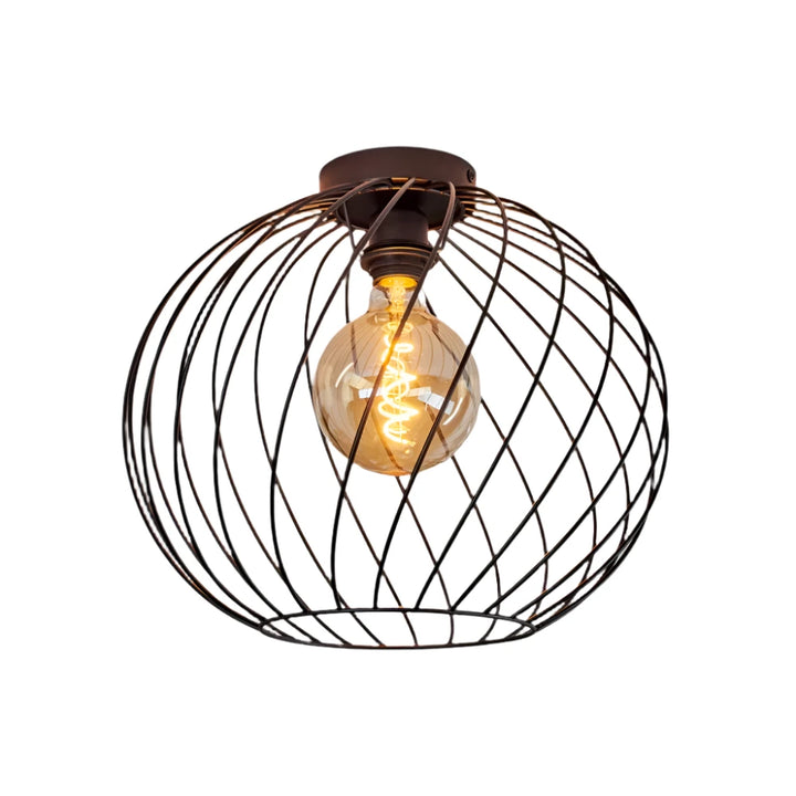 Industrial Wire Cage Ceiling Light