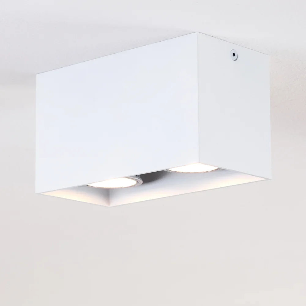 Modern Dual White Rectangular Ceiling Spotlight