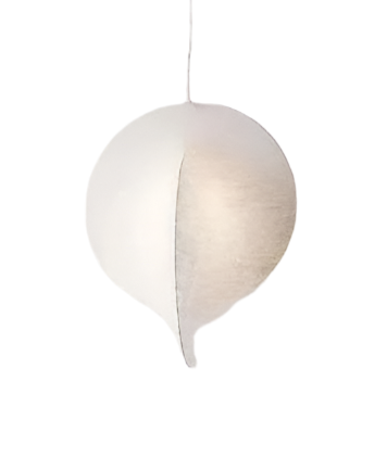 Modern Organic Pendant Light