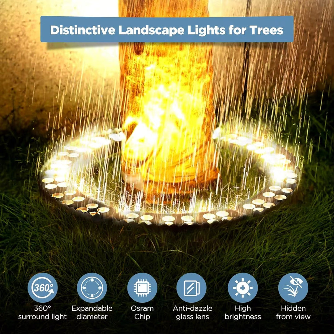 Outdoor Tree Ring Light