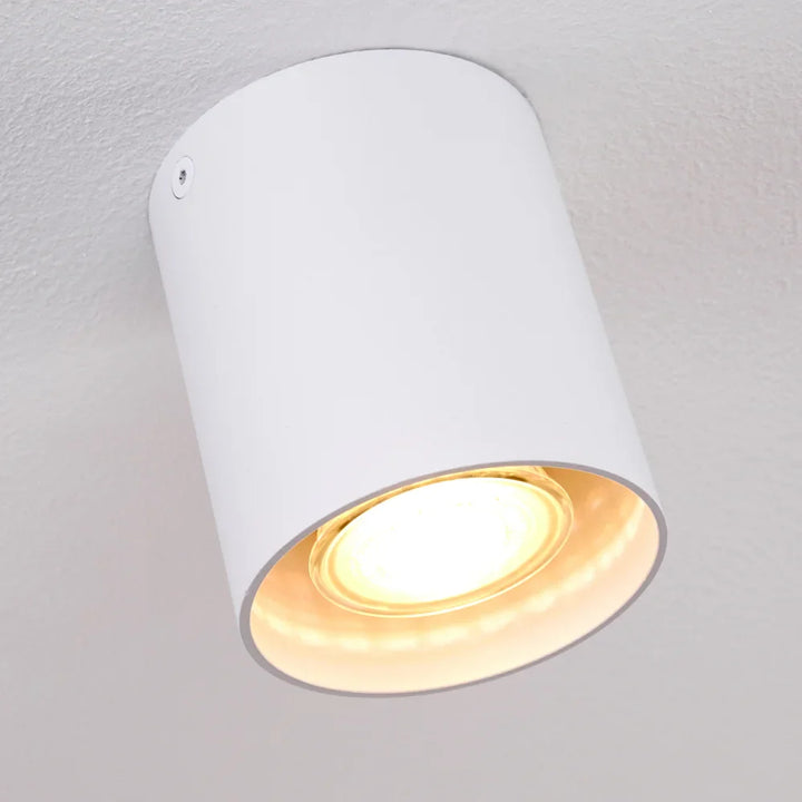 Modern White Cylinder Ceiling Spotlight