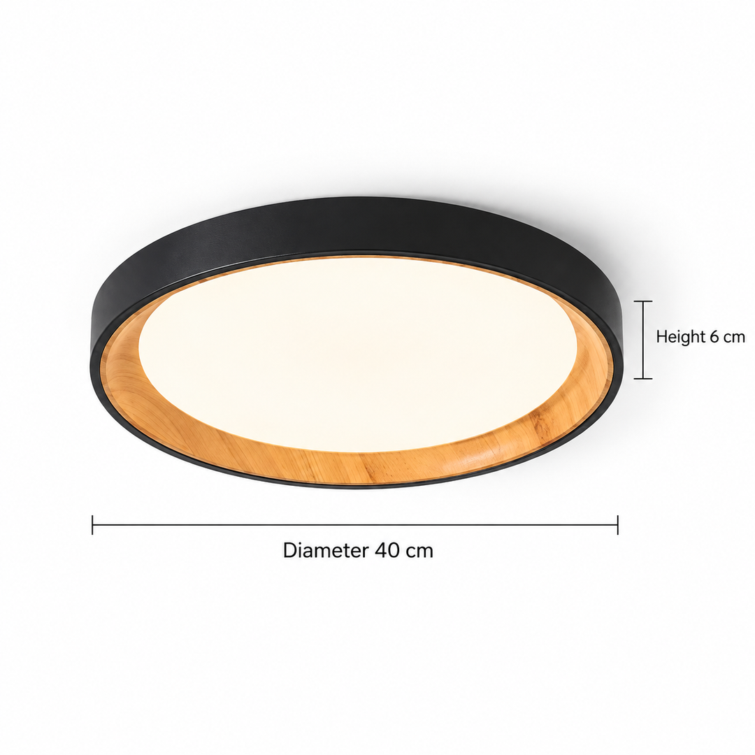 Modern Two-Tone Circular Ceiling Light