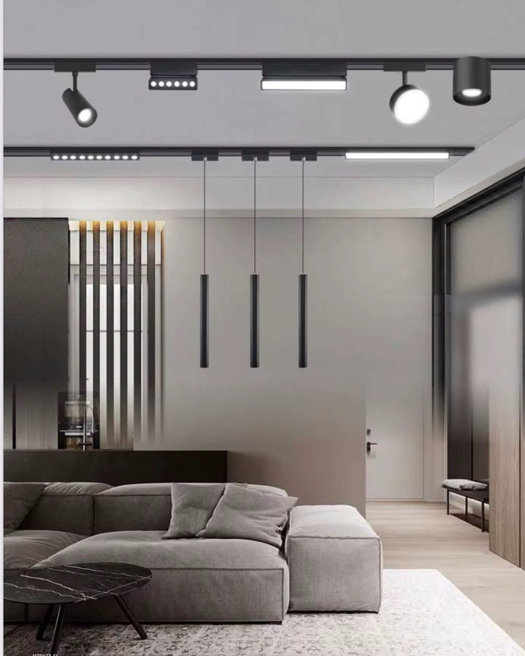 MAGNETIC Track Spotlight & All Accessories