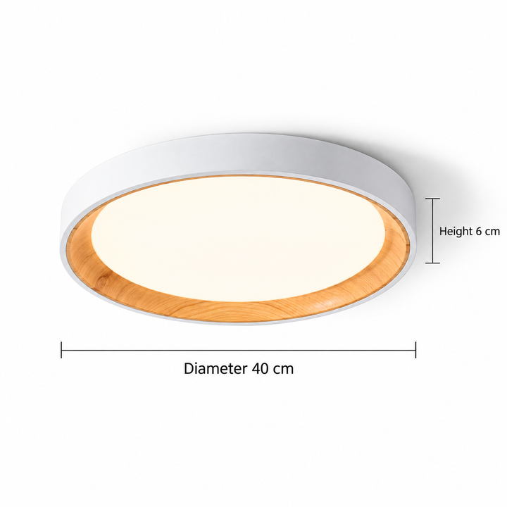 Modern Two-Tone Circular Ceiling Light