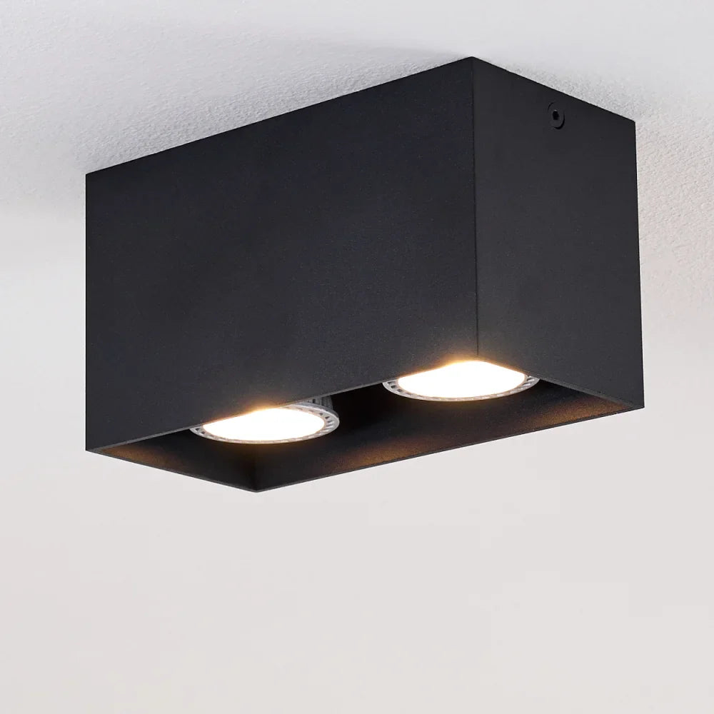 Modern Dual Black Rectangular Ceiling Spotlight