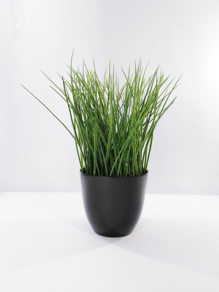 Artificial Grass Plant in Black Pot