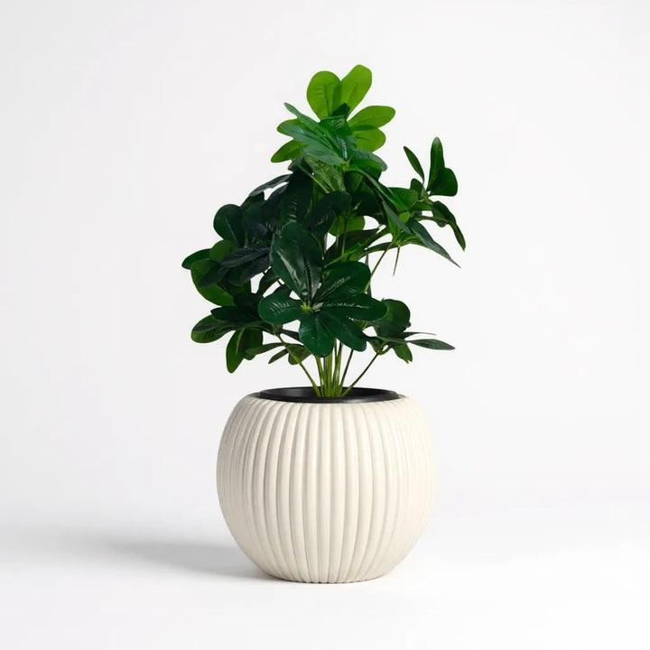 Artificial Rubber Plant in Textured Pot