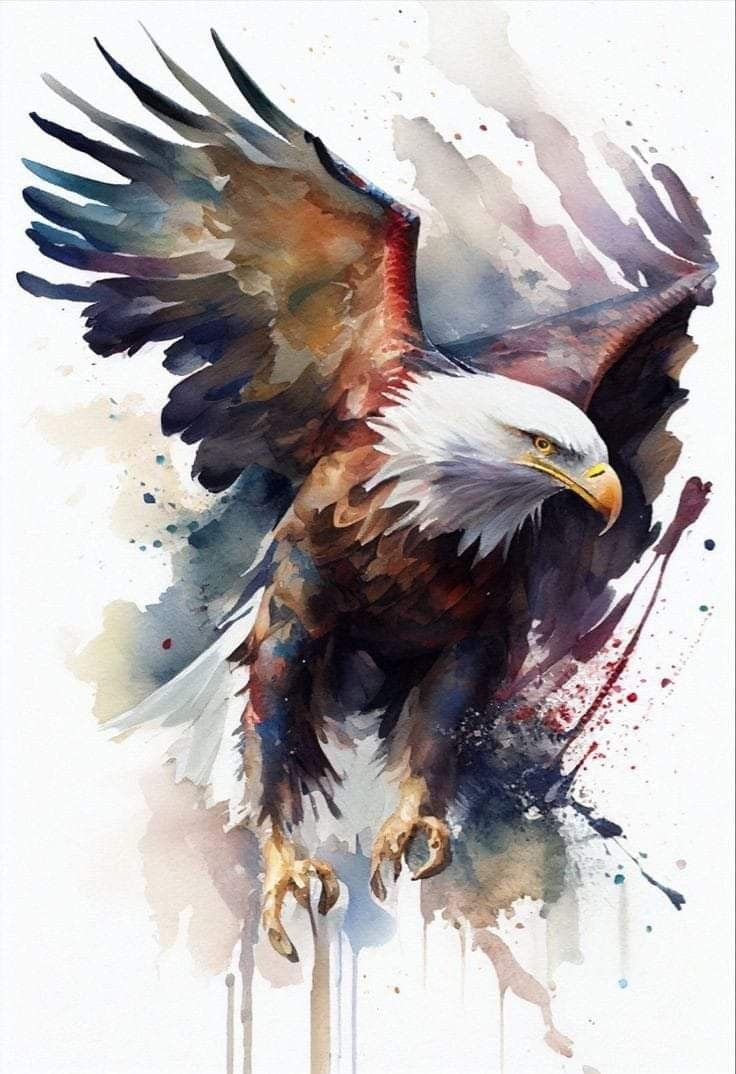 Eagle Art Canvas