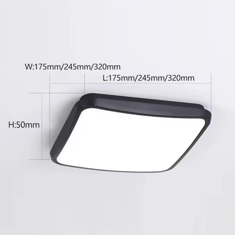 IP65 Outdoor LED Ceiling Light