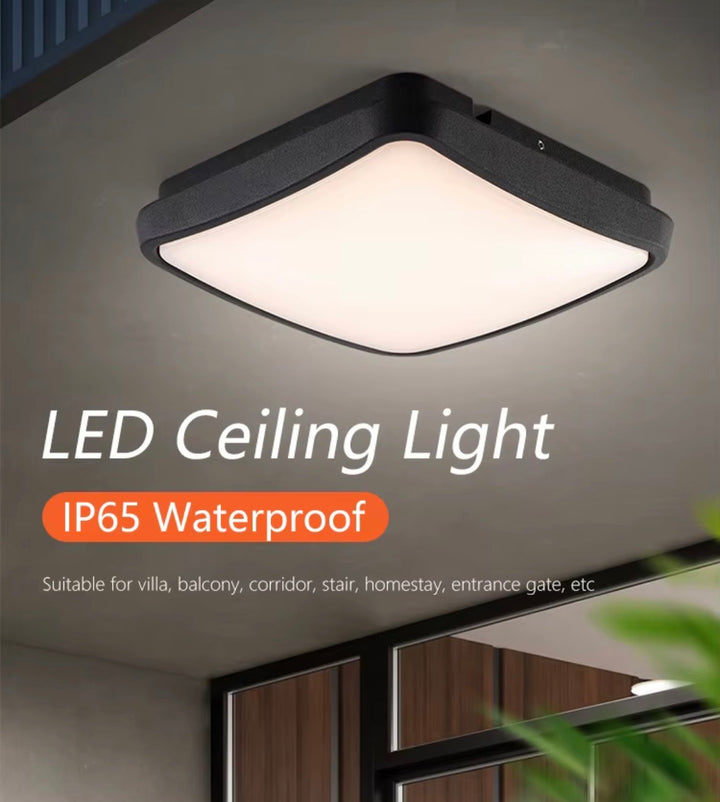 IP65 Outdoor LED Ceiling Light