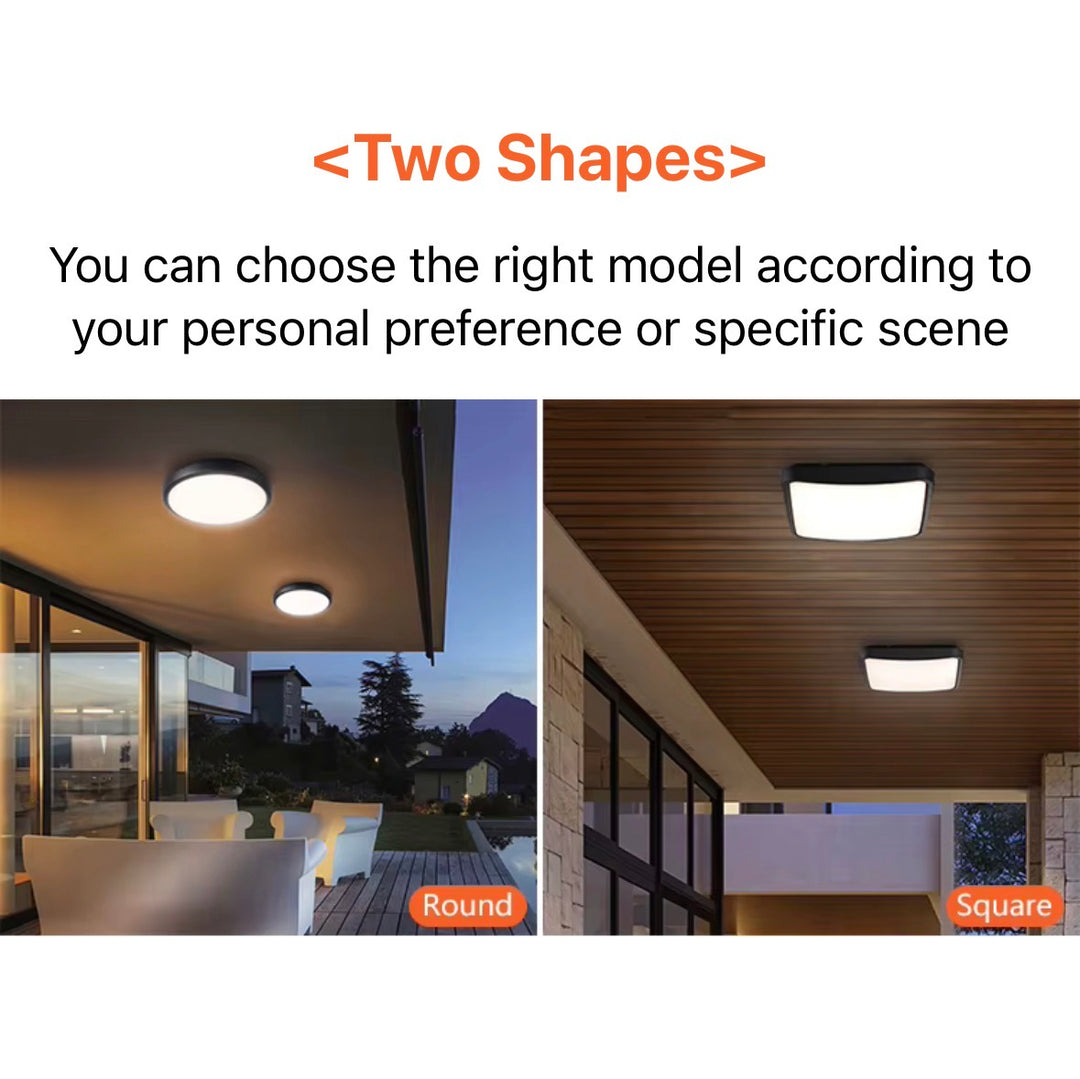 IP65 Outdoor LED Ceiling Light