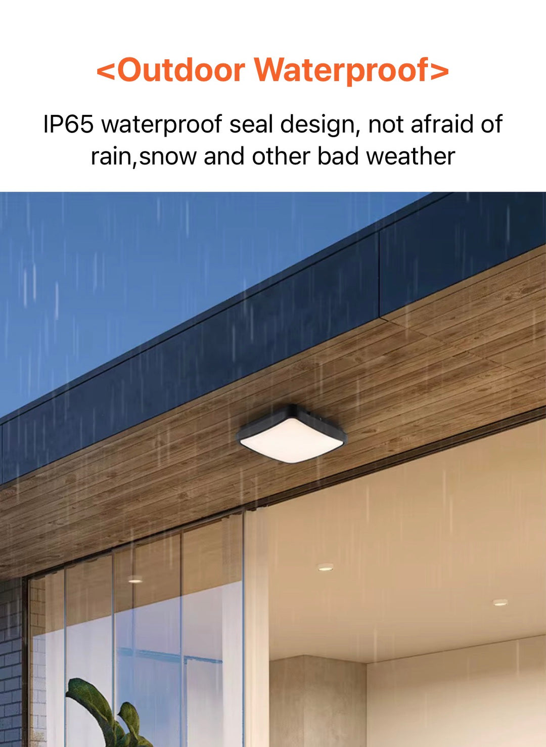 IP65 Outdoor LED Ceiling Light