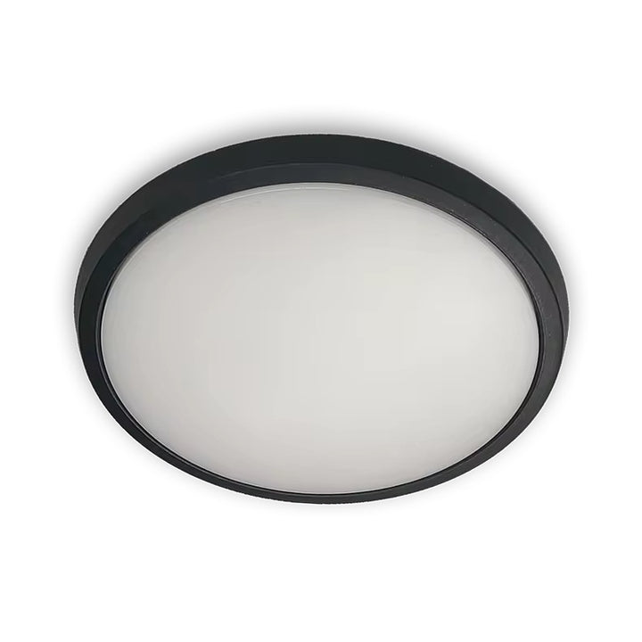 IP65 Outdoor LED Ceiling Light