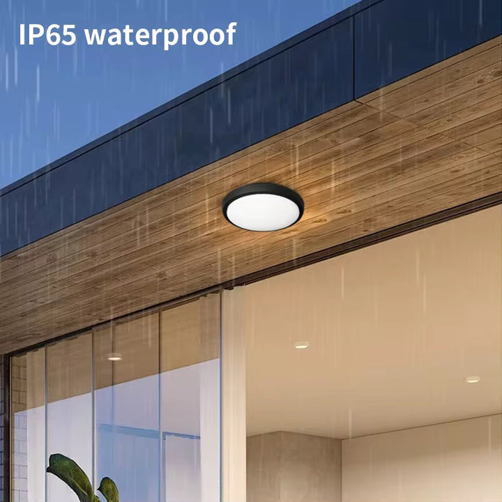 IP65 Outdoor LED Ceiling Light