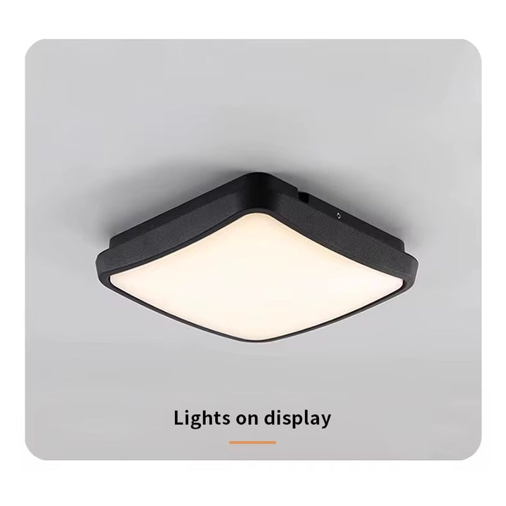 IP65 Outdoor LED Ceiling Light
