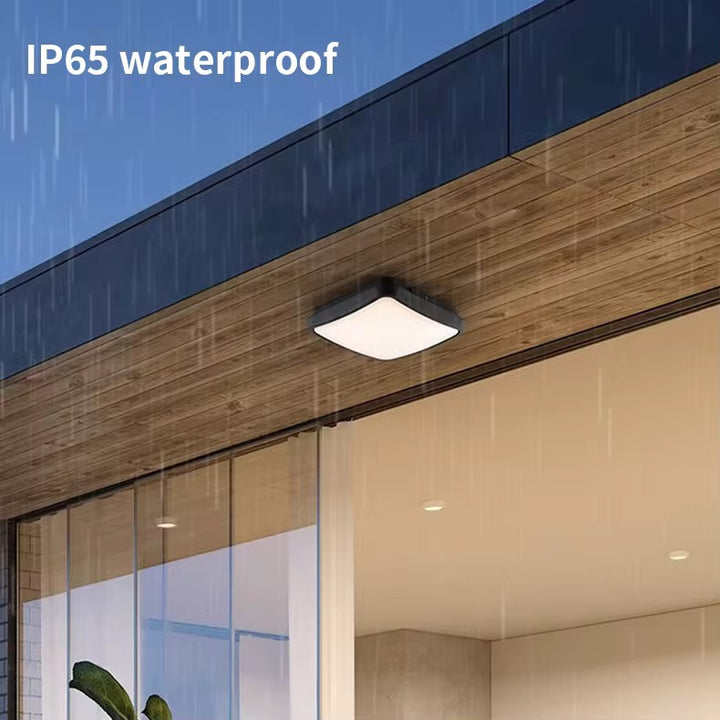 IP65 Outdoor LED Ceiling Light