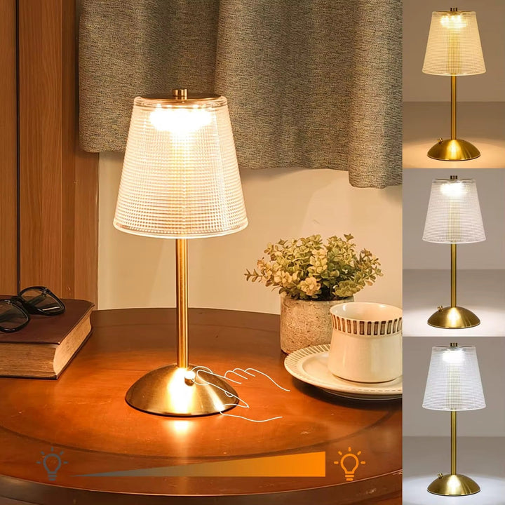 Frosted Shade Gold rechargeable Table Lamp