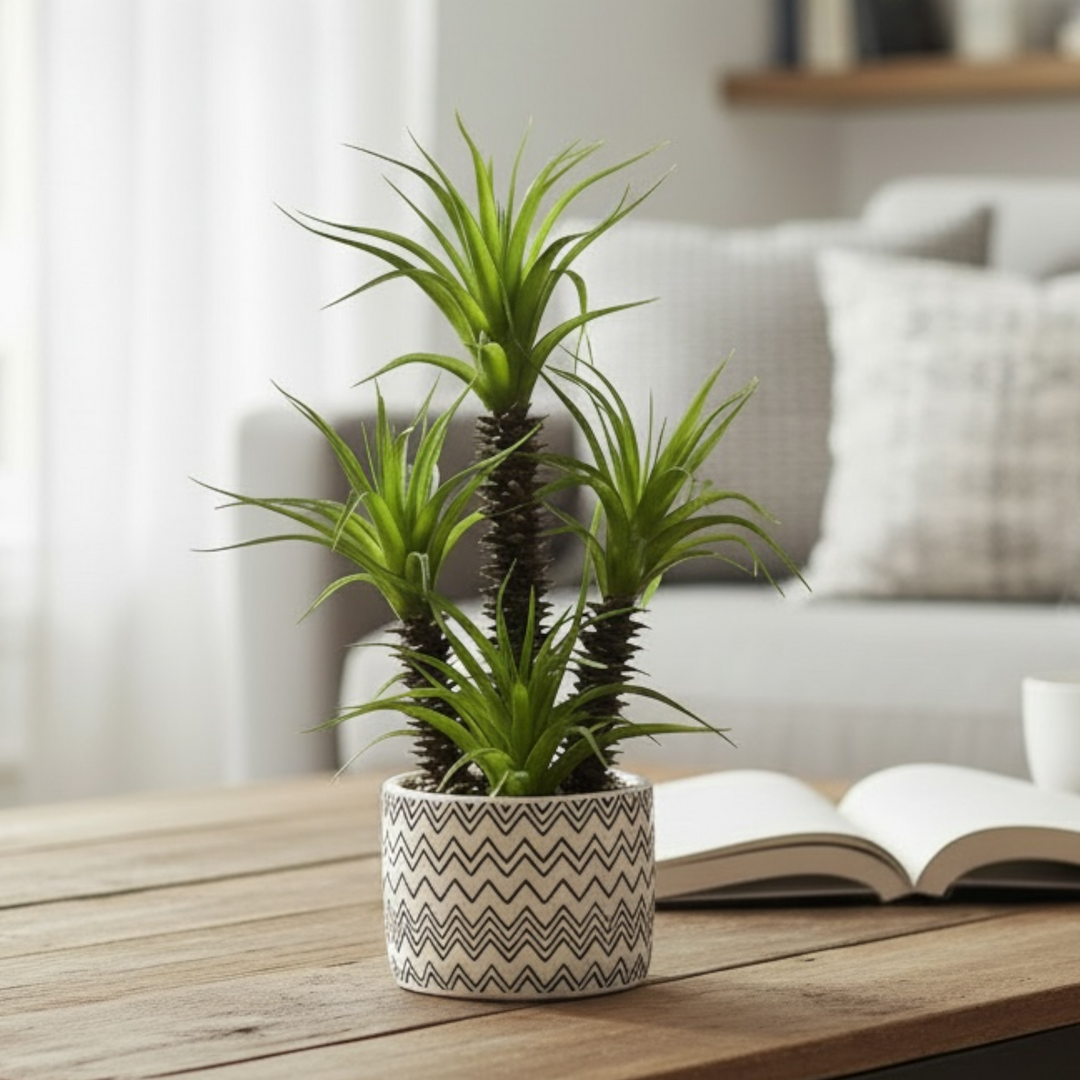 Artificial Tall Succulent Cluster in Patterned Pot