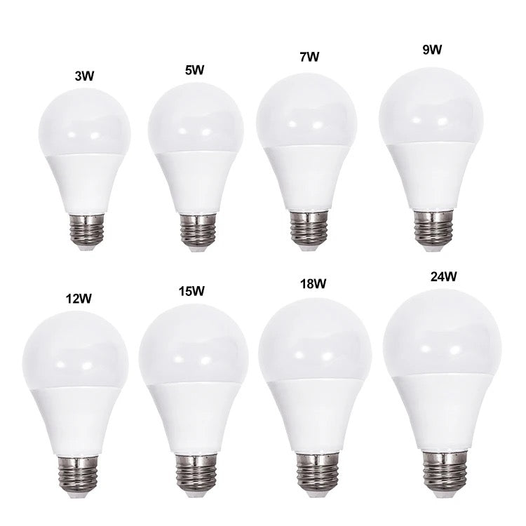 Energy Efficient - LED Bulb