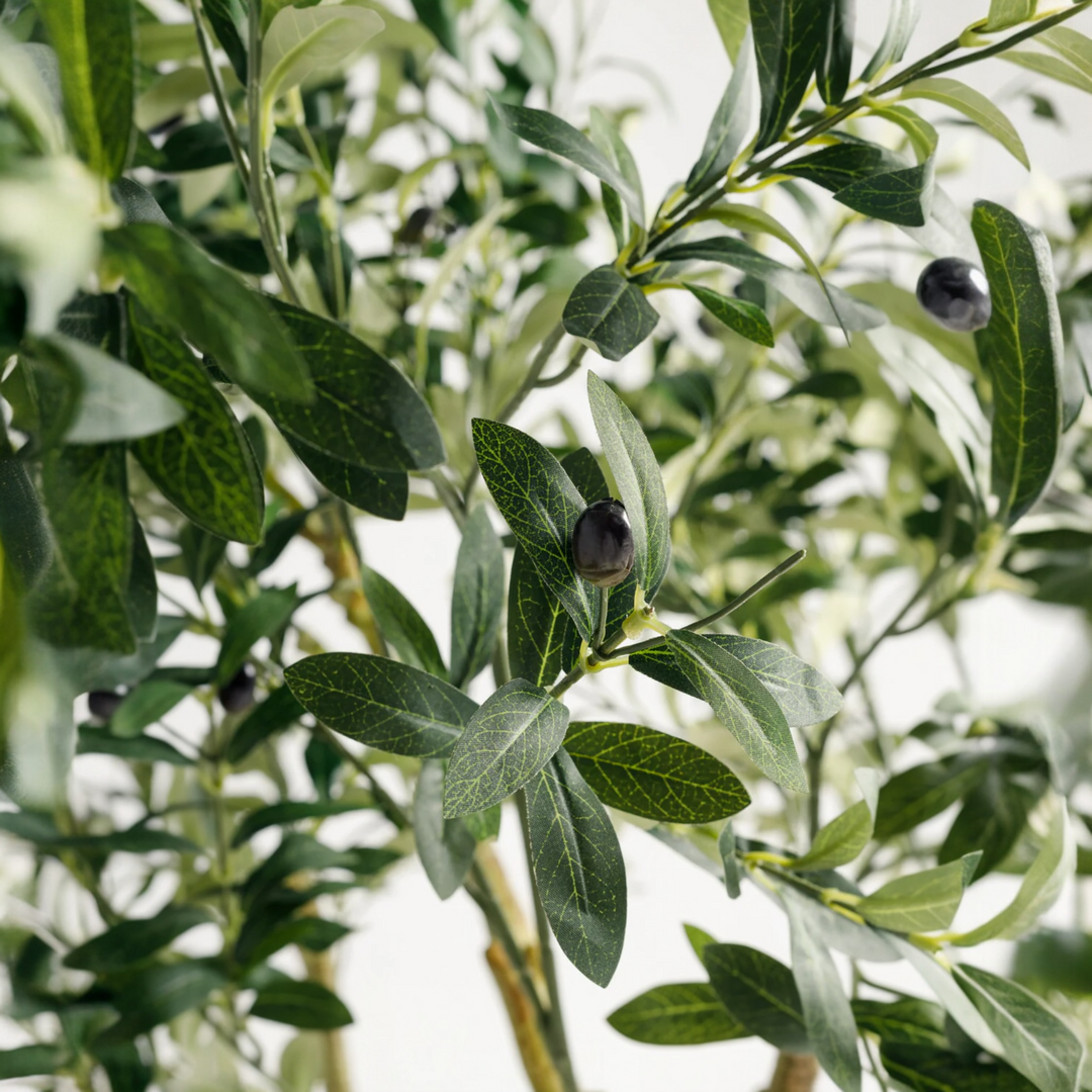Artificial Olive Tree in Black Ribbed Pot