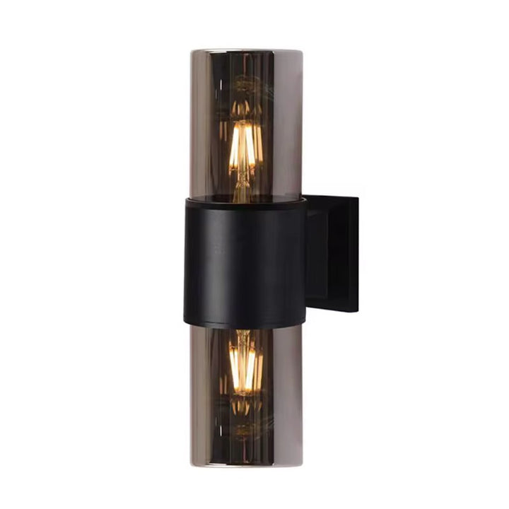 Dual Smoked Glass Wall Light