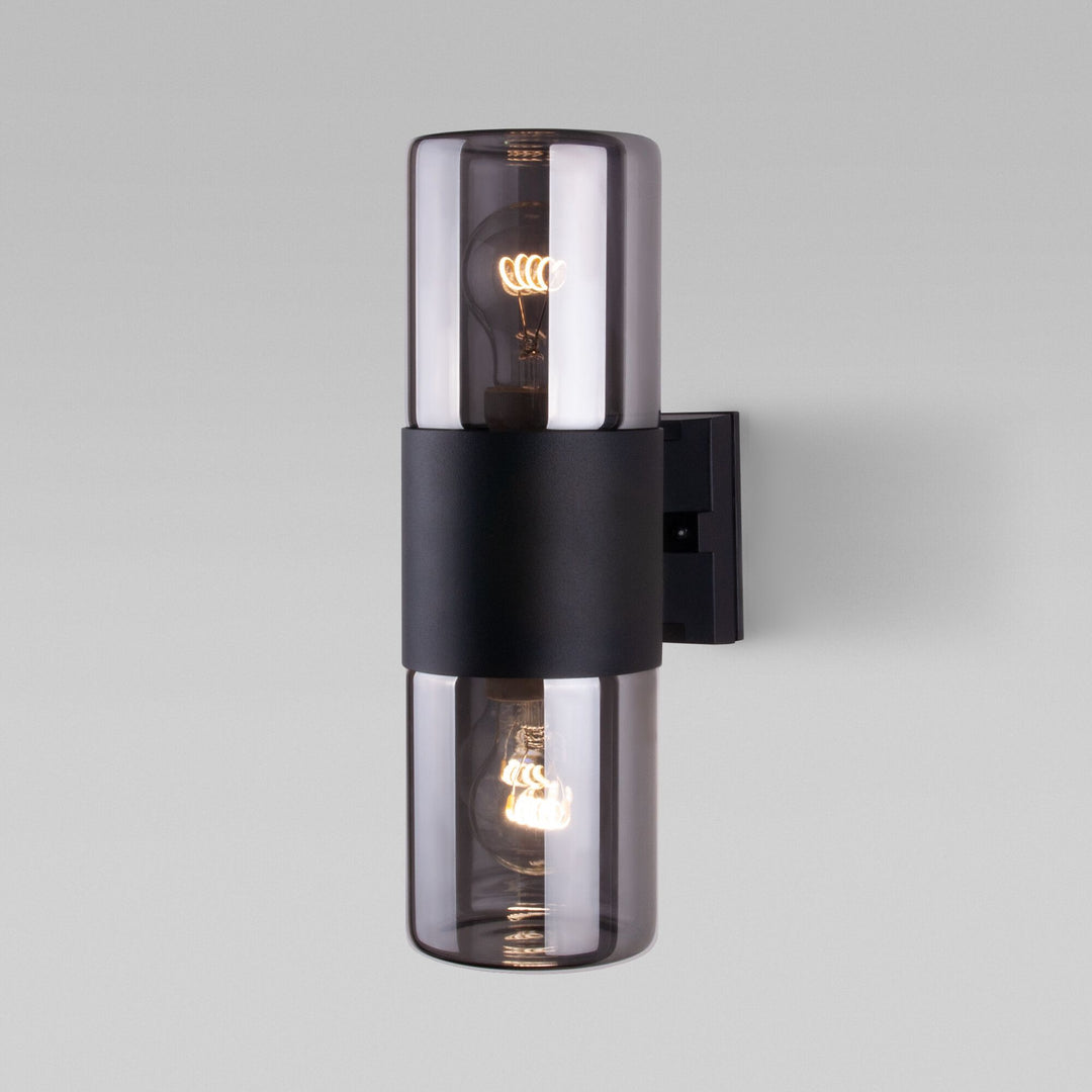 Dual Smoked Glass Wall Light