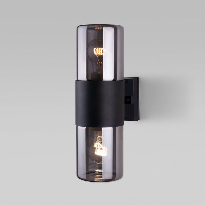 Dual Smoked Glass Wall Light