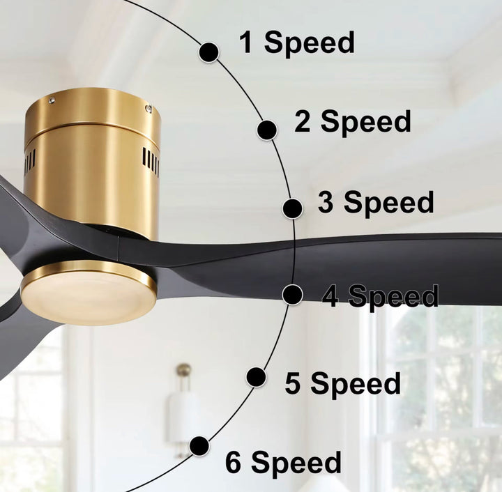 Modern Ceiling Fan with Black Blades and Gold Accents