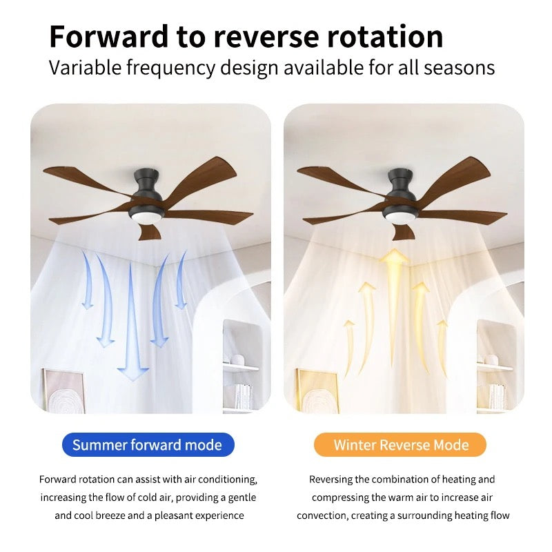 Modern Ceiling Fan with Walnut Wood Blades and LED Light