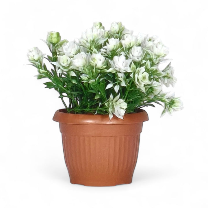 Mini Artificial Flowering Plant